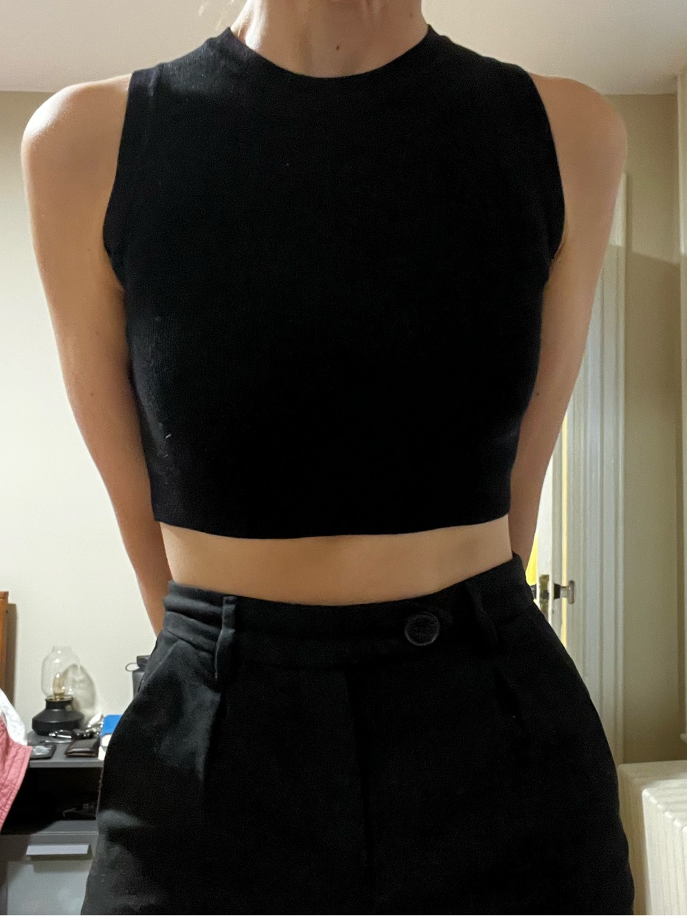 Zara Black Sleeveless Cropped Knit Top